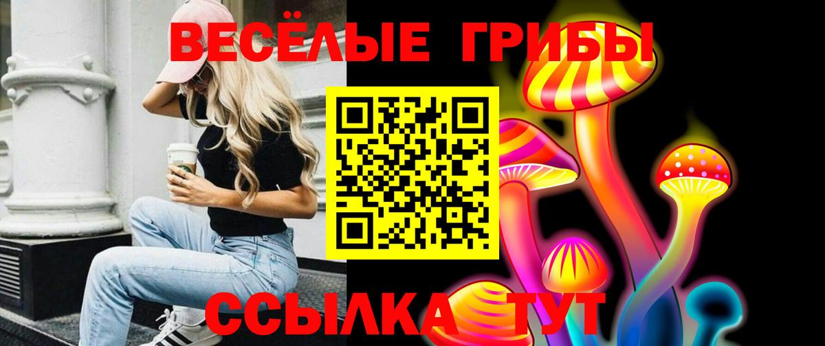 Псилоцибиновые грибы мицелий  Вход с VPN  Туймазы 