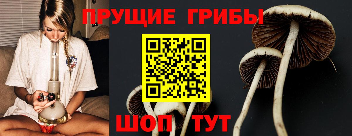 Галлюциногенные грибы прущие грибы Туймазы